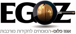 ייעוץ עסקי