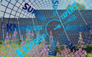 יועץ עסקי לחברת מערכות סולאריות