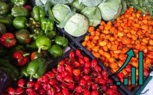 ייעוץ עסקי לחקלאים