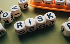 פיתוח עסקי וניהול סיכונים